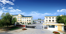 物美價(jià)廉的交流伺服電機(jī)