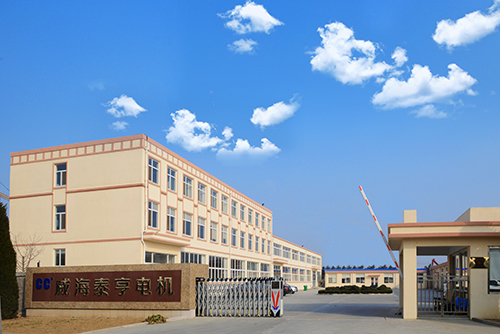 威海市泰亨電機(jī)有限公司